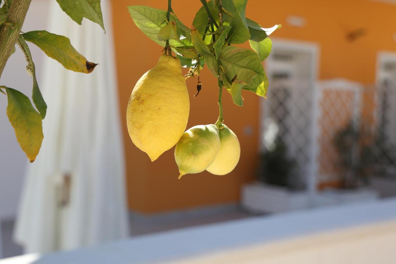 Casa Vacanze Il Gigante Comfort A Due Passi Dalla Valle Dei Templi Αγκριτζέντο Εξωτερικό φωτογραφία